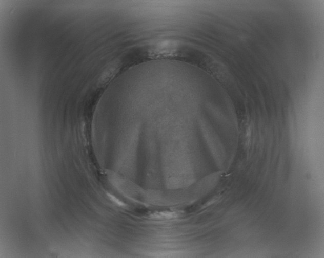 X0000054360224200508121522