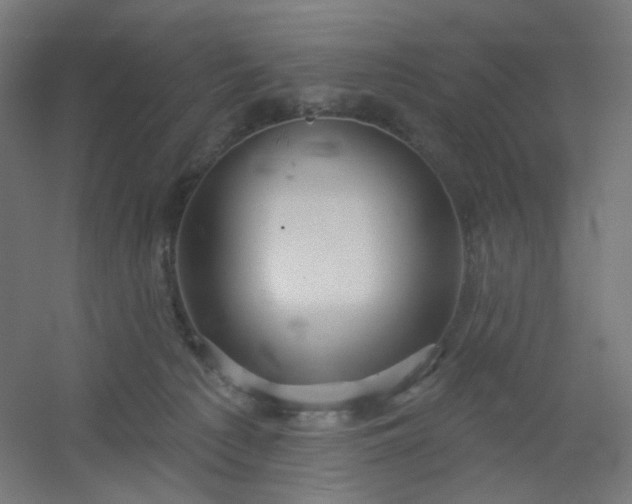 X0000054360225200508121522