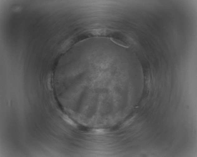 X0000054360233200508121522