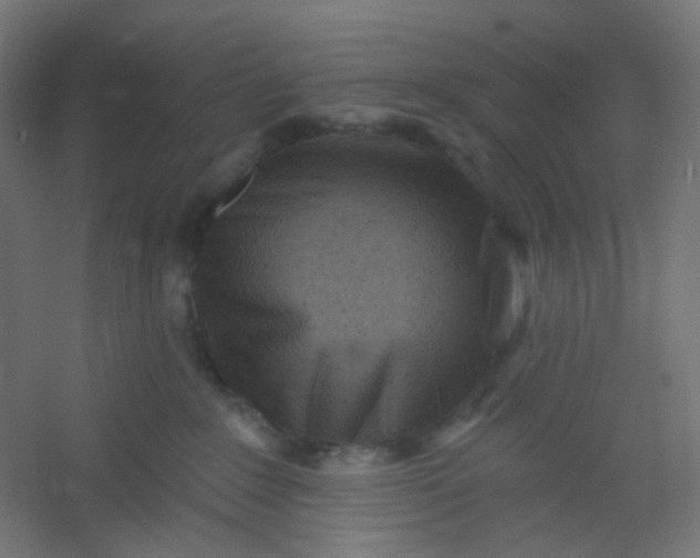 X0000054360235200508121522