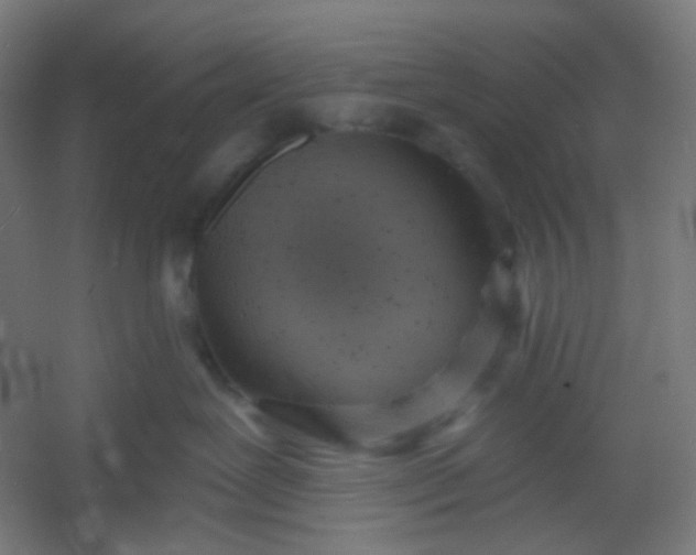 X0000054360239200508121522