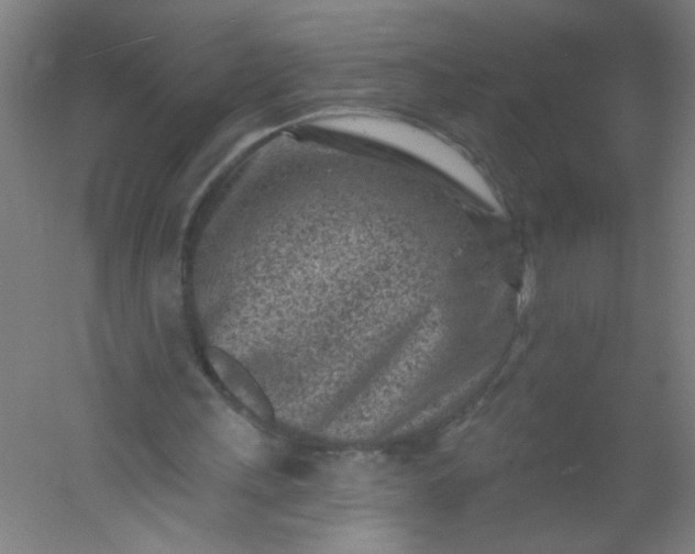 X0000054360243200508121521