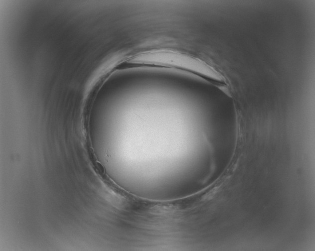 X0000054360245200508121521