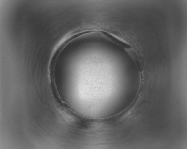 X0000054360246200508121521