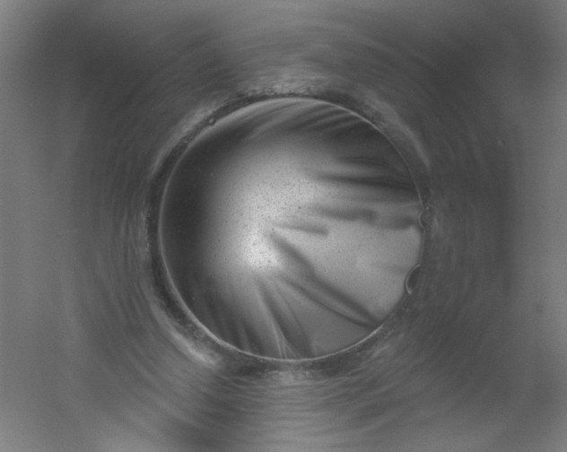 X0000054360250200508121521