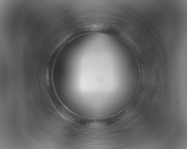 X0000054360251200508121521