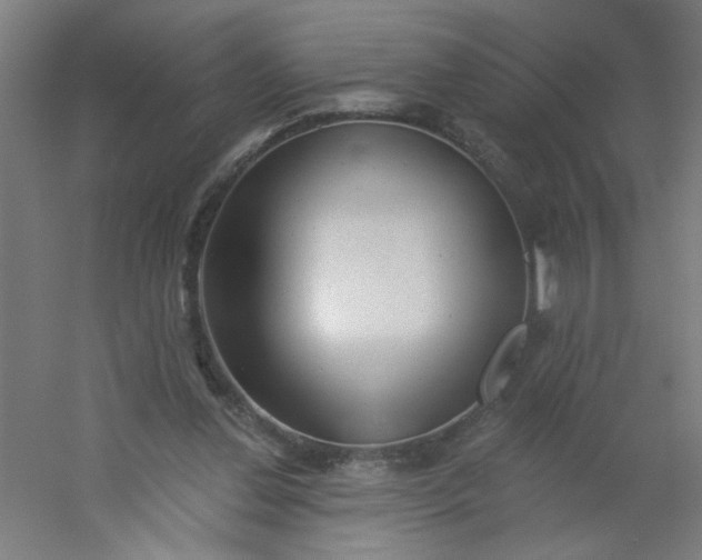 X0000054360252200508121521