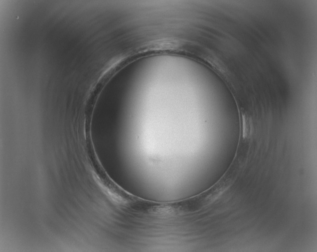 X0000054360253200508121521