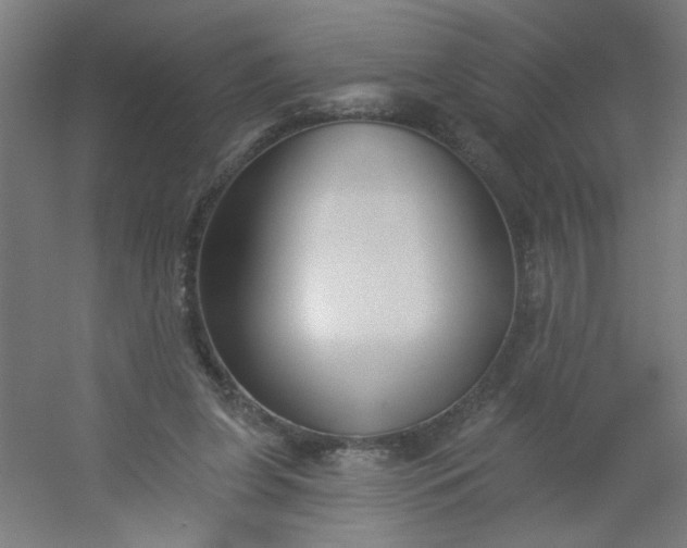 X0000054360255200508121521