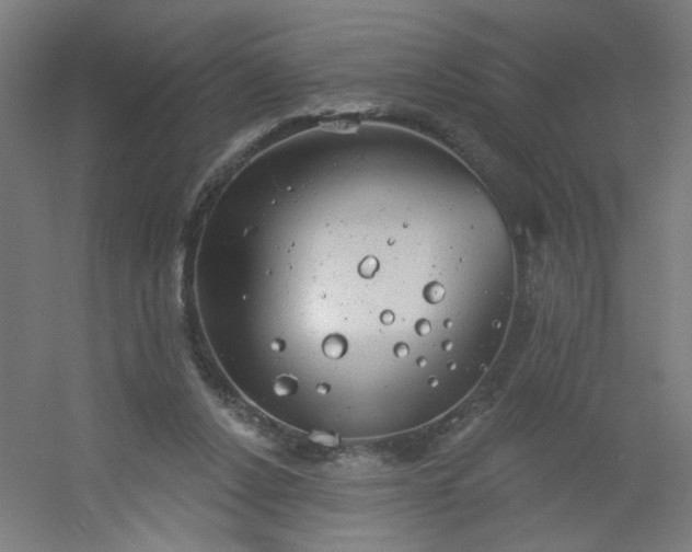 X0000054360256200508121521