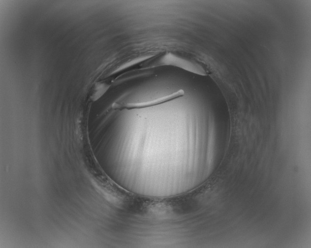 X0000054360258200508121521