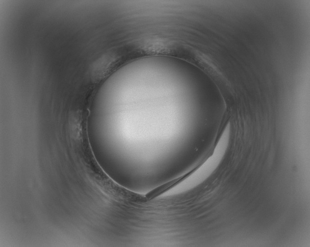 X0000054360259200508121521