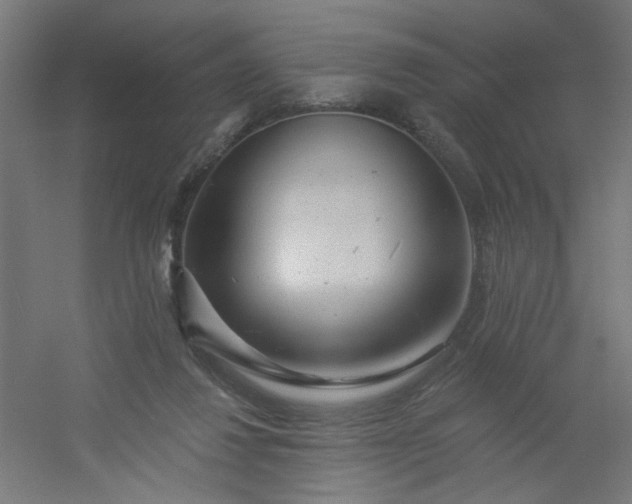 X0000054360260200508121522