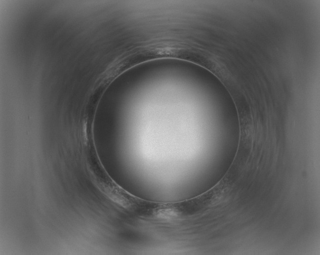 X0000054360262200508121522