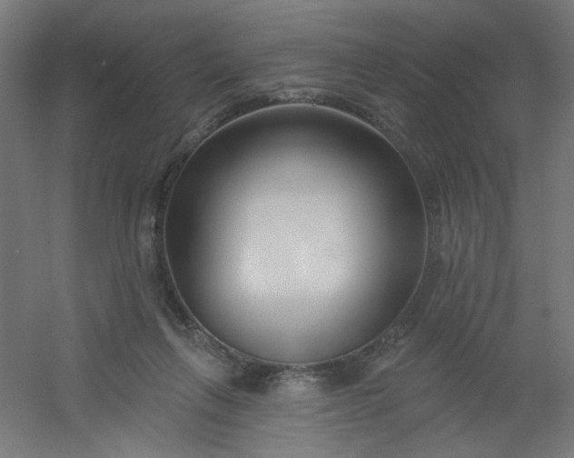 X0000054360263200508121522