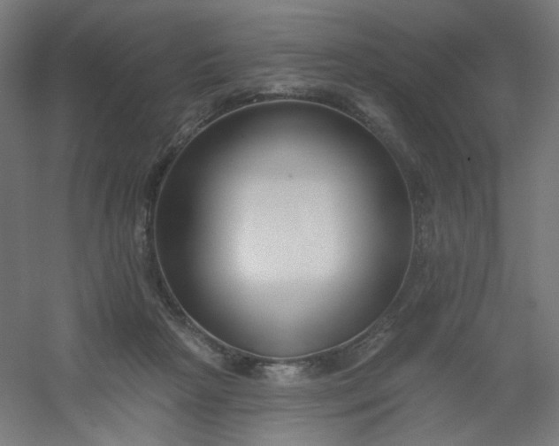 X0000054360265200508121522