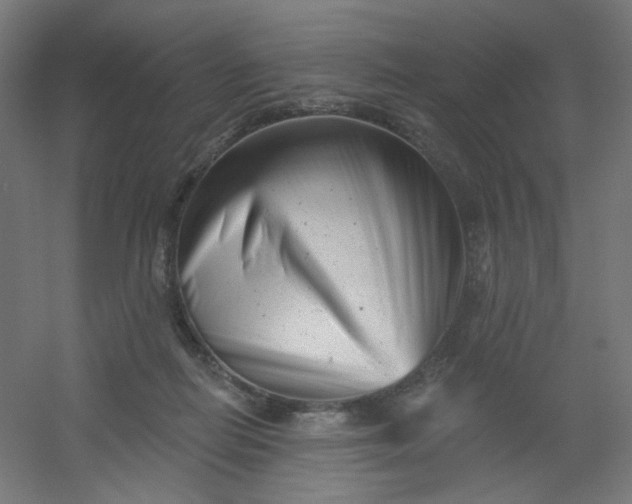 X0000054360266200508121522