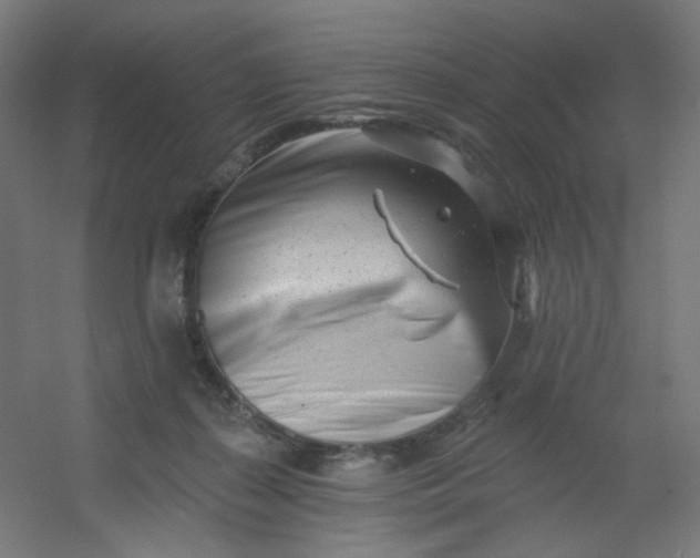 X0000054360267200508121522