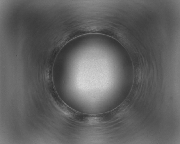 X0000054360268200508121522