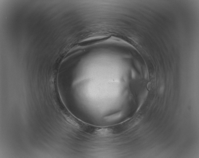 X0000054360269200508121522