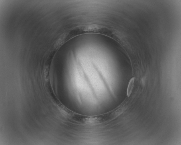 X0000054360273200508121522