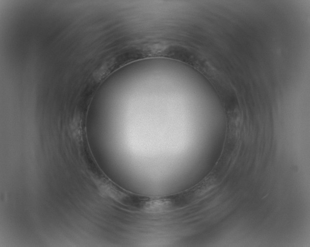X0000054360274200508121522
