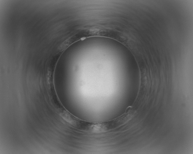X0000054360275200508121522