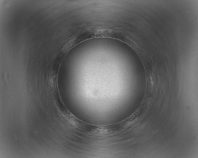 X0000054360276200508121522