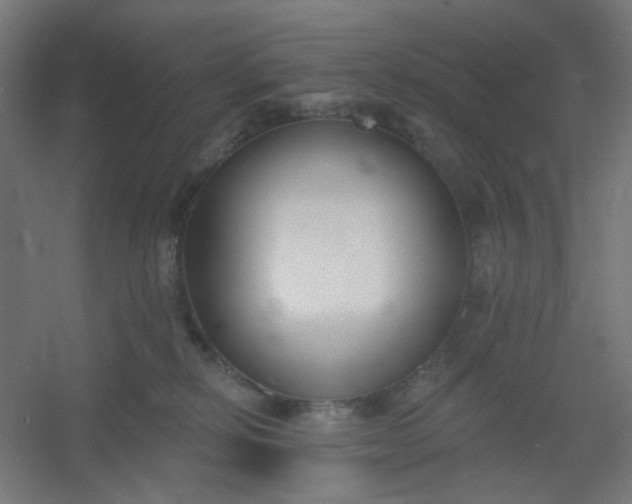 X0000054360278200508121522