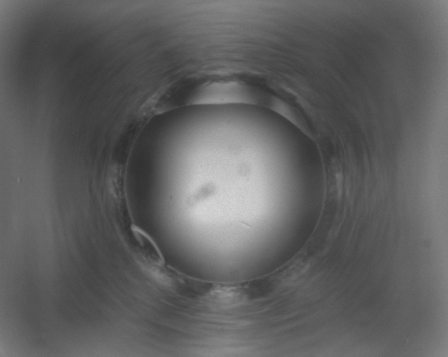 X0000054360280200508121522