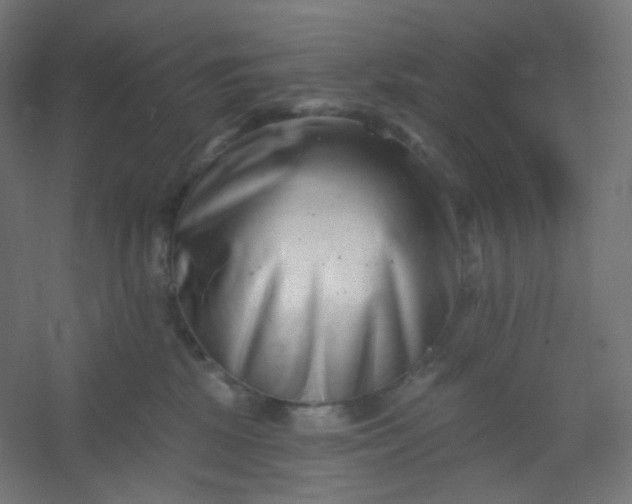X0000054360281200508121522