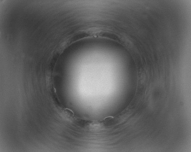 X0000054360283200508121522