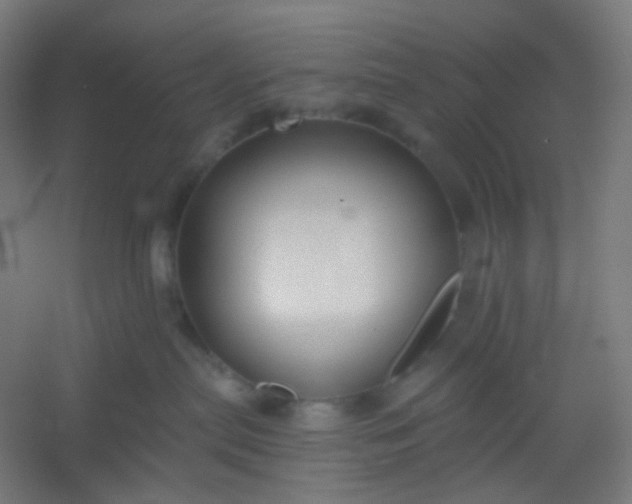 X0000054360287200508121522