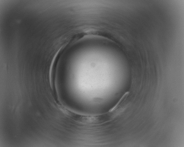 X0000054360288200508121522