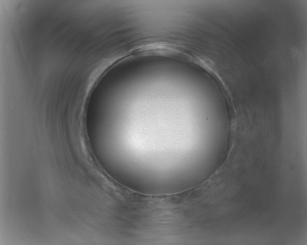 X0000054360289200508121521