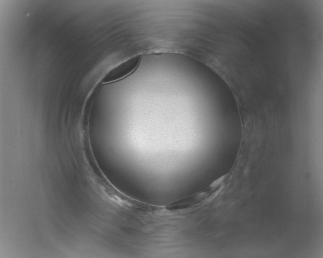 X0000054360290200508121521