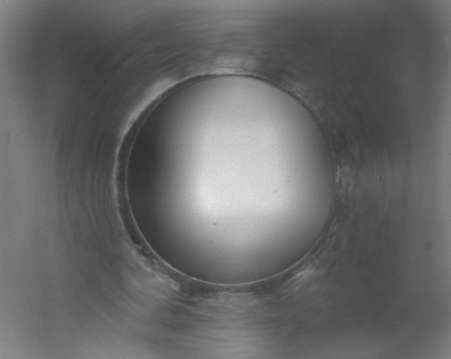 X0000054360292200508121521