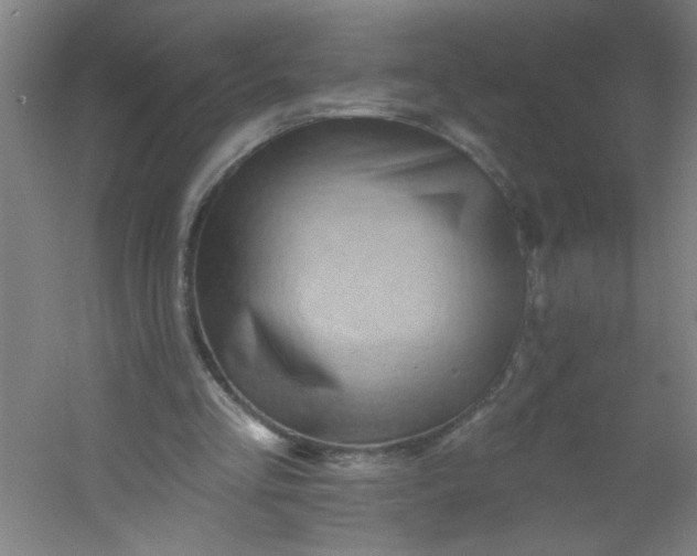 X0000054360293200508121521