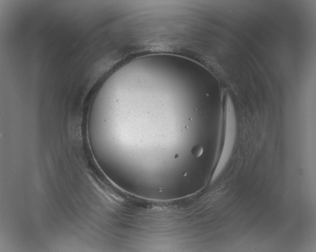 X0000054360299200508121521