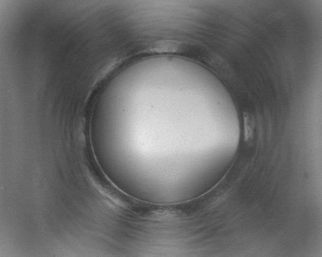 X0000054360300200508121521