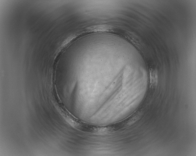X0000054360301200508121521