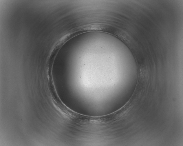 X0000054360302200508121521