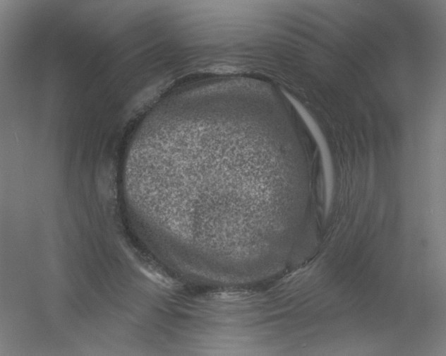 X0000054360303200508121521
