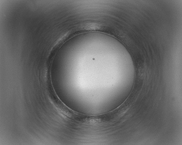 X0000054360304200508121521