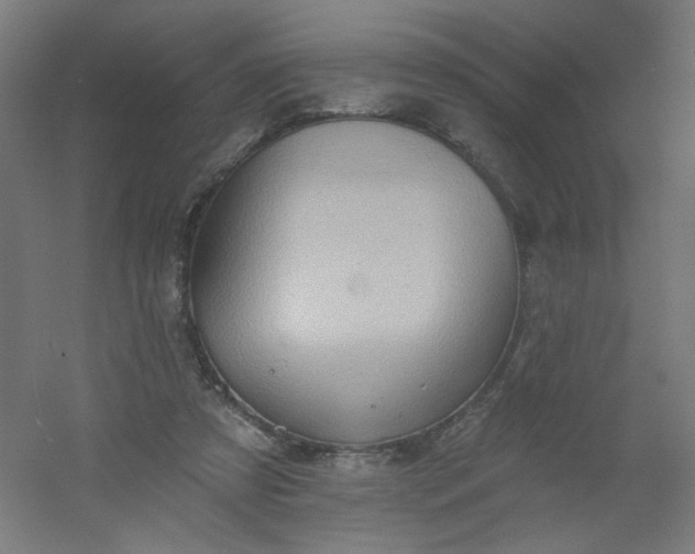 X0000054360305200508121521