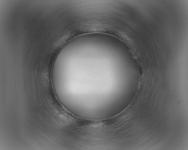 X0000054360306200508121521