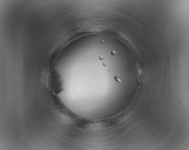 X0000054360307200508121521