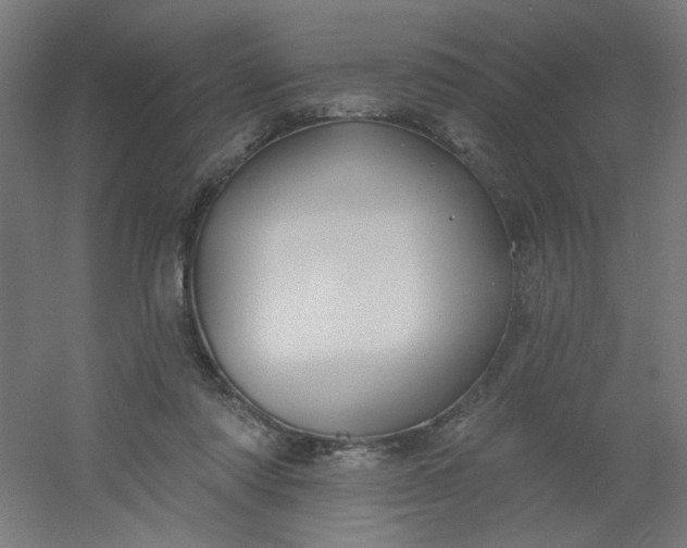 X0000054360310200508121521