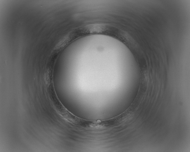 X0000054360311200508121521