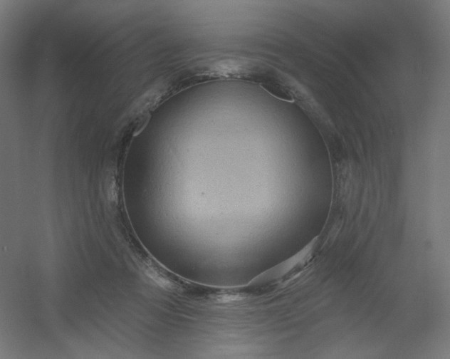 X0000054360313200508121521